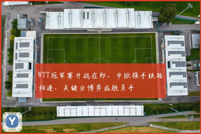 WTT冠军赛开战在即，中欧强手狭路相逢，关键分博弈成胜负手
