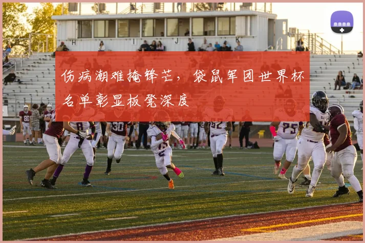 伤病潮难掩锋芒，袋鼠军团世界杯名单彰显板凳深度