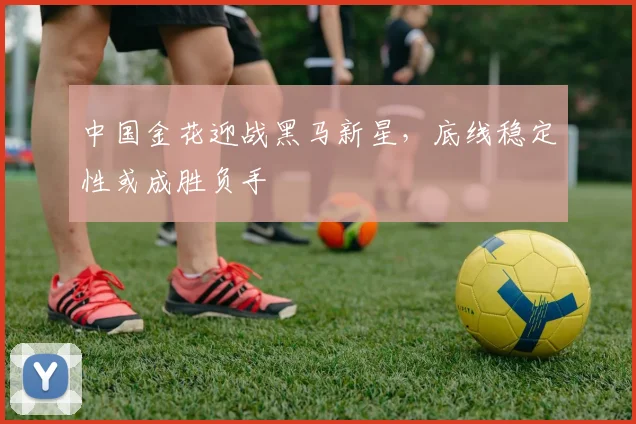 中国金花迎战黑马新星，底线稳定性或成胜负手
