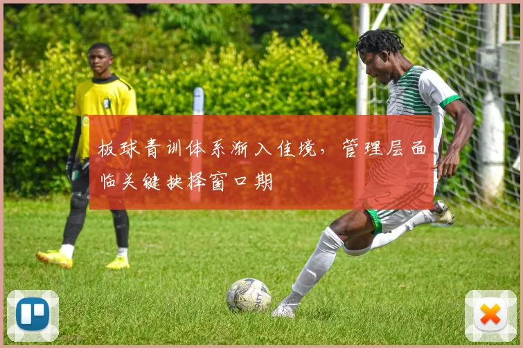 板球青训体系渐入佳境，管理层面临关键抉择窗口期